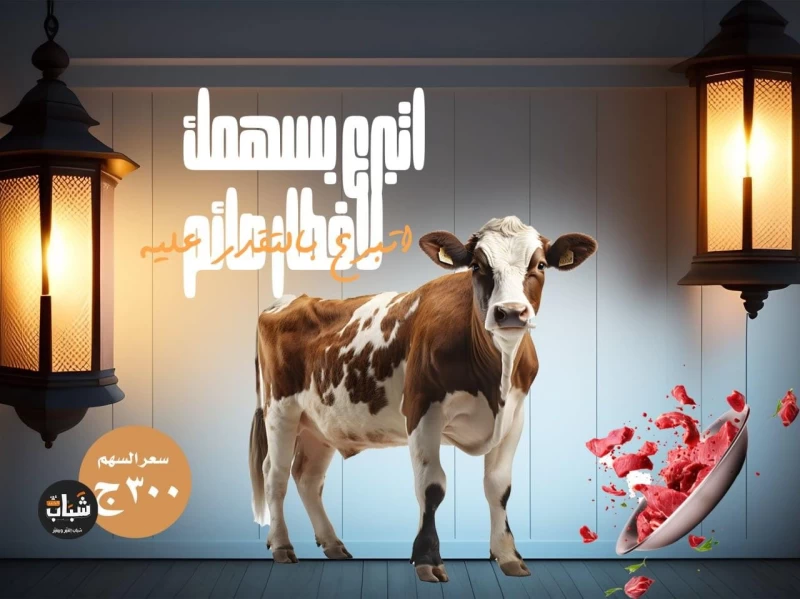 عايزين نجيب عجل 🐂 وشنط رمضان  سعر السهم 300 ج .